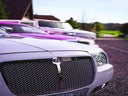 Royalex-Limousinenservice - Luxus & Party auf jeder Fahrt!