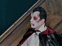 Halloween Party - Animation - Galerie - Bild 1