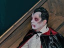 Halloween Party - Animation - Galerie - Bild 1