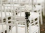 Tiffany, Chiavari, Bankettstühle Hochzeitstühle Verleih Mieten - Galerie - Bild 4