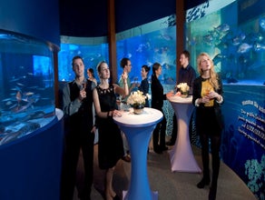 AquaDom & SEA LIFE Berlin