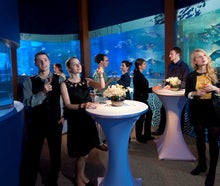AquaDom & SEA LIFE Berlin