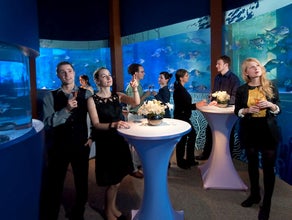 AquaDom & SEA LIFE Berlin