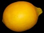 Zitrone - Frucht - Galerie - Bild 2