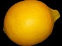 Zitrone - Frucht - Galerie - Bild 2