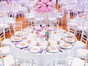 Chiavari Stuhl - Holzstuhl - Stapelstuhl - weiß, gold und schwarz - Event-Hochzeit-Scheune - Galerie - Bild 3