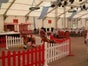 Pferderennen inkl. 19% MwSt. - Galerie - Bild 3