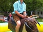 Rodeo Bull Riding inkl. Betreuung - Galerie - Bild 2