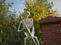 Halloween Skelett - grabendes Skelett, Halloween Dekoration - Galerie - Bild 3