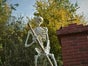 Halloween Skelett - grabendes Skelett, Halloween Dekoration - Galerie - Bild 3