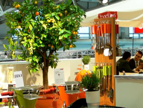 Orangenbaum mit individueller verkleidung