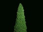Weihnachtsbaum 2 m Kegelbaum, Weihnachtsmarkt Dekoration, Weihnachten - Galerie - Bild 2