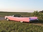 Pink Cadillac 1959 Cabriolet - Galerie - Bild 4