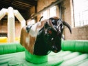 Bull Riding, Rodeo Reiten, Surfing Simulator für Geburtstag, Hochzeiten und Feiern jeglicher Art