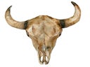Kuhschädel, Schädel, Kuh, Rind, Figur, Western, Wilder Westen, Cowboy