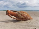 Amphoren - Römisch / Griechische Amphore