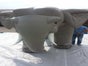 Elefant, aufblasbar, Afrika, Indien, Asien, Stoßzähne, Figur, Tier - Galerie - Bild 3