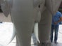 Elefant, aufblasbar, Afrika, Indien, Asien, Stoßzähne, Figur, Tier - Galerie - Bild 3