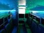 US-Schoolbus - Galerie - Bild 4