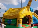 Hüpfburg Giraffe oder Hüpfburg Kuh - Galerie - Bild 1
