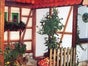 Fachwerk - Fachwerkhaus - Buffetstand - Buffet - Kulisse - Haus - Hausfront - Dekoration - Event - Galerie - Bild 3