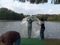 Wasserlaufbälle im Gewässer mieten - Galerie - Bild 2