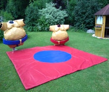Sumo Ringen   Crazy Sumo Wrestling   Sumo Ringer