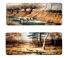 Wild Enten, Wild Fasan - Kulisse, Wiltiere, Wald, Wasser