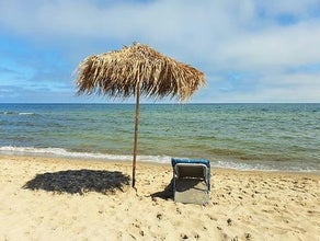 Strandschirm - Palmenschirm - Karibikschirm