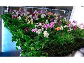 Vertical Gardening