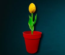 XXL Blumentopf Arrangement Tulpe ∗ No.6