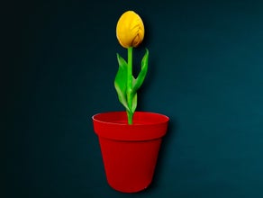 XXL Blumentopf Arrangement Tulpe ∗ No.6