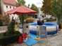Bullriding, Rodeo, American Bullriding, Bullenreiten, - Galerie - Bild 2