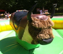 Rodeo Bull Riding inkl. Betreuung