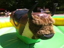 Rodeo Bull Riding inkl. Betreuung - Galerie - Bild 1
