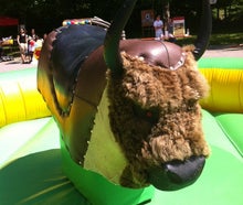 Rodeo Bull Riding inkl. Betreuung