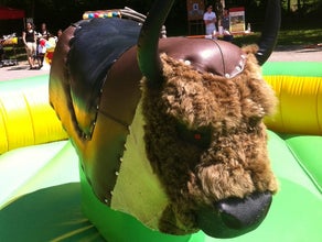 Rodeo Bull Riding inkl. Betreuung