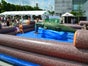 Alligator Rodeo wie Bullriding inkl. 19% MwSt. - Galerie - Bild 4