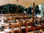 Klappstühle - weiß - braun - Sitzkissen - Hochzeit - Party - Veranstaltung -Trauung - Traubogen - Galerie - Bild 4