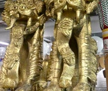 Drache Asiatisch