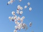Ballonweitflugaktion / Heliumballonweitflugaktion inkl. 19% MwSt. - Galerie - Bild 2