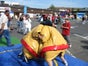 Sumo Wrestling / Sumo Ringen - Galerie - Bild 3