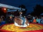 Bullriding, Bullenreiten, Rodeo, Bulle - Galerie - Bild 2