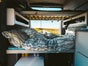 Fiat Ducato - Kompakter Van für 3 in Portugal - Galerie - Bild 2