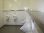 Toilettenwagen Standard+ XXL - Galerie - Bild 3