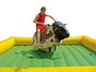Bullriding - American Western Rodeo inkl. 19% MwSt. - Galerie - Bild 4
