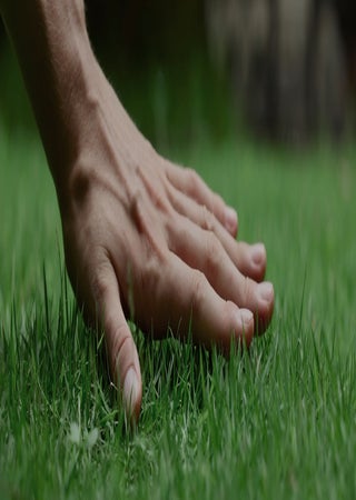 hero image