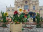 Sonnenblumen XXL - Galerie - Bild 3