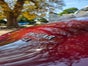 Hochzeitsauto mieten mit Chauffeur - Galerie - Bild 3
