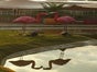 Flamingo Hochzeitsdekoration - Galerie - Bild 2